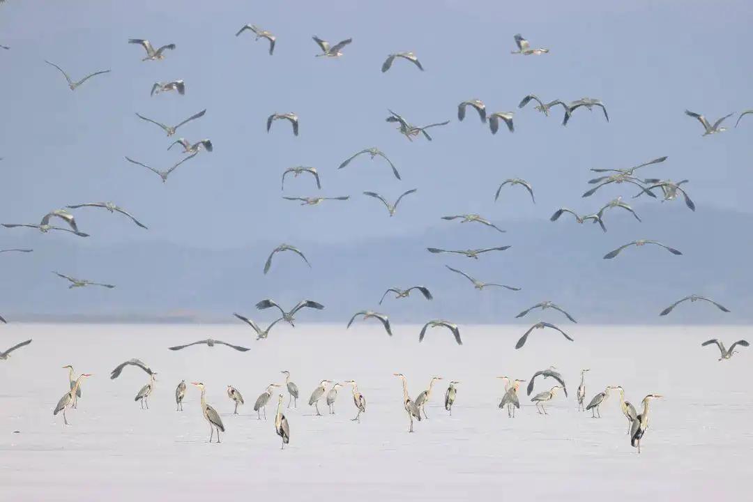 密云水库开渔忙他们为渔民护航,密云水库的鱼什么时候有捕捞的