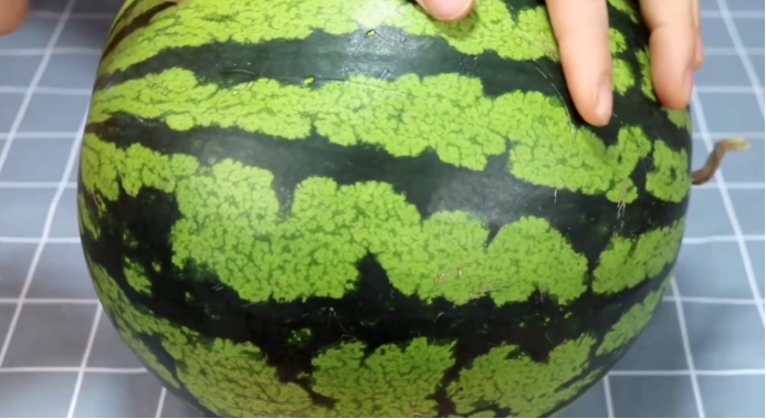 挑选西瓜瓜农,挑选西瓜的技巧和方法