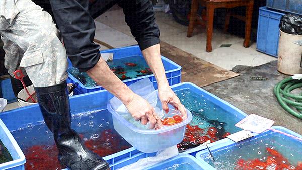 广州清平市场哪家好,清平市场攻略