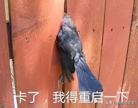 笔记本电脑开机蓝屏反复重启,电脑蓝屏stop0x000000ed怎么解决