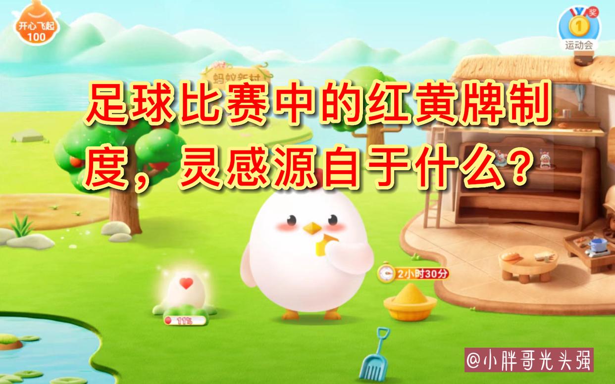 足球红黄牌的由来,足球赛黄牌大小规则是什么