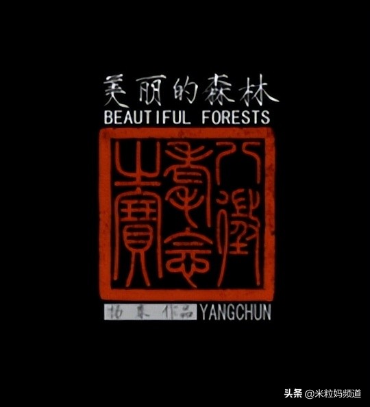 美哭了的动画片,8部绝美中国风动画推荐