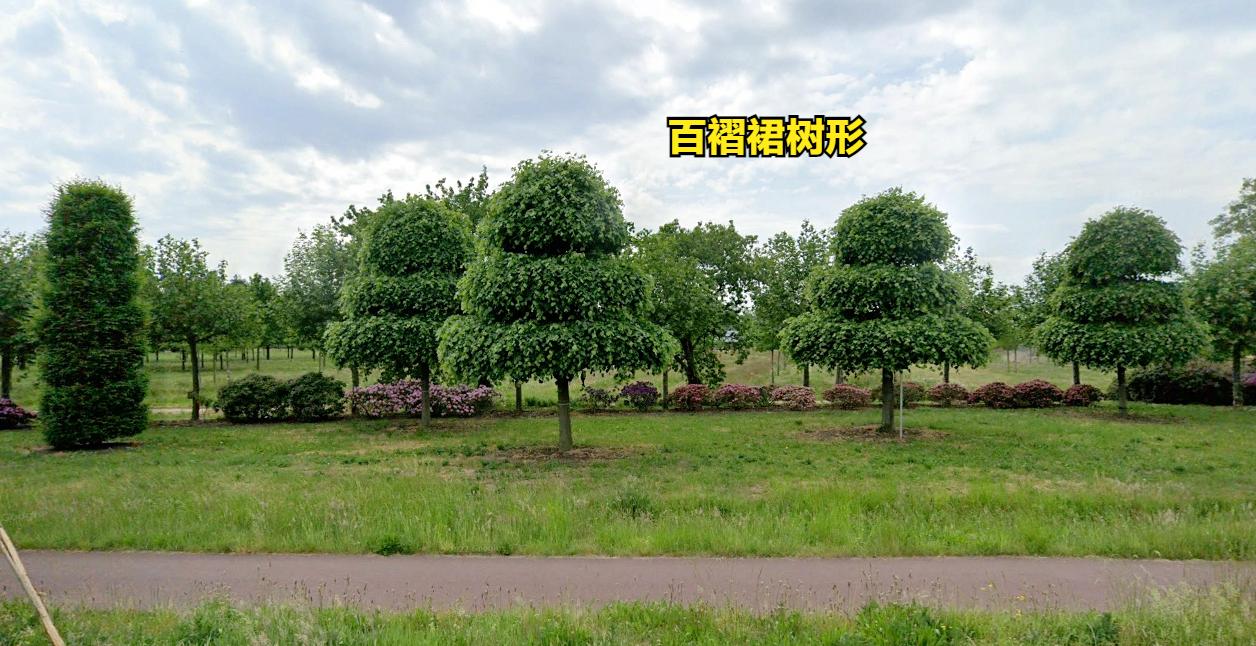 探访欧洲农村：荷兰农村房子，比我国农村房子小，但环境比我们好