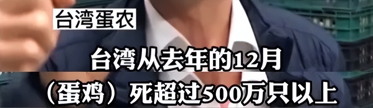 连麦当劳都无蛋可用?台湾这波缺蛋够狠