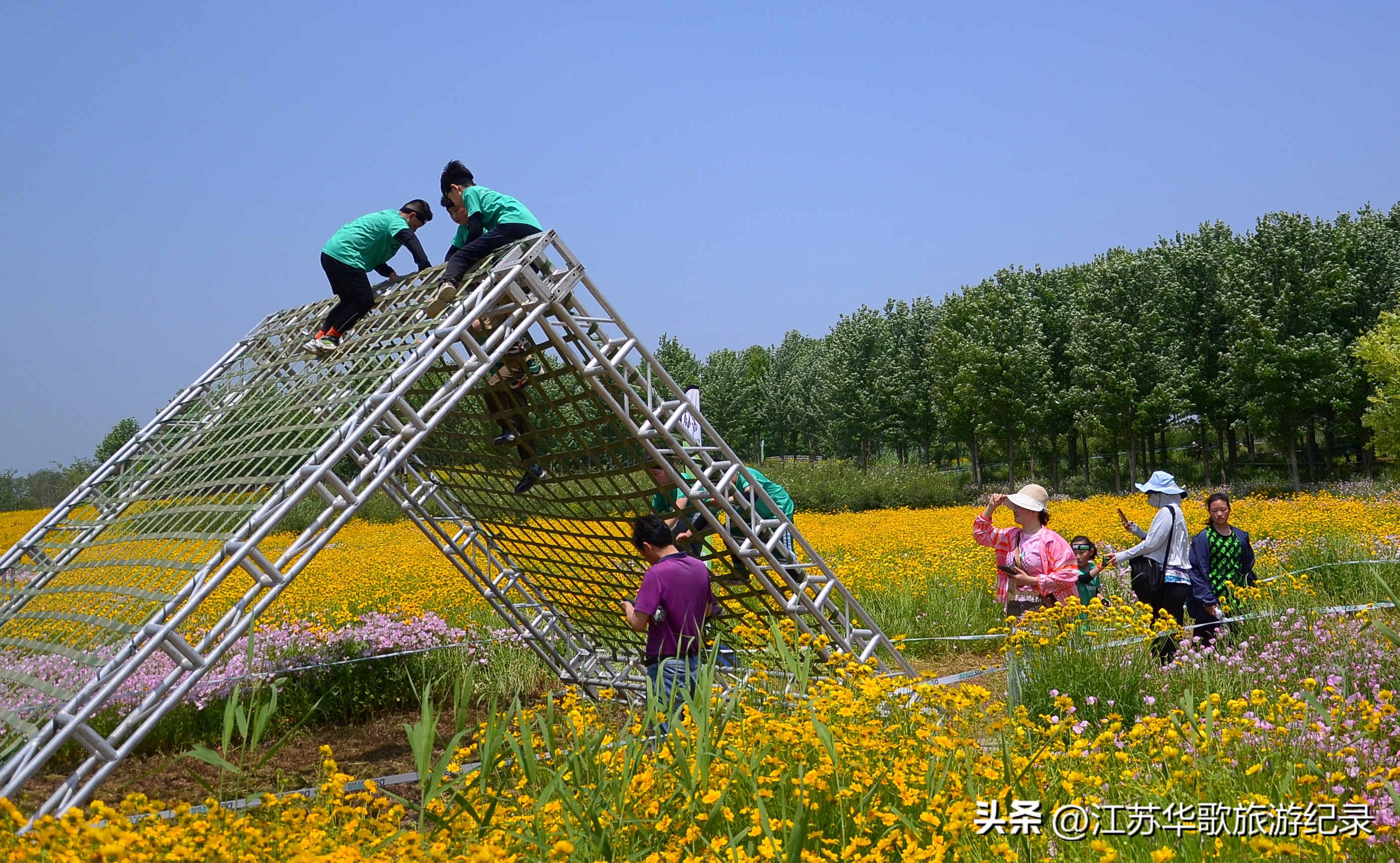 2022ds自然探索赛全国赛成绩,ds自然探索赛2024淮安