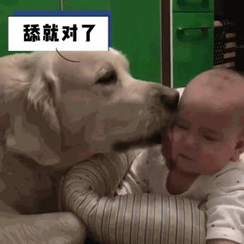 “舔尿道口”=“恶心”？主人你错了，看完赶紧重视起来