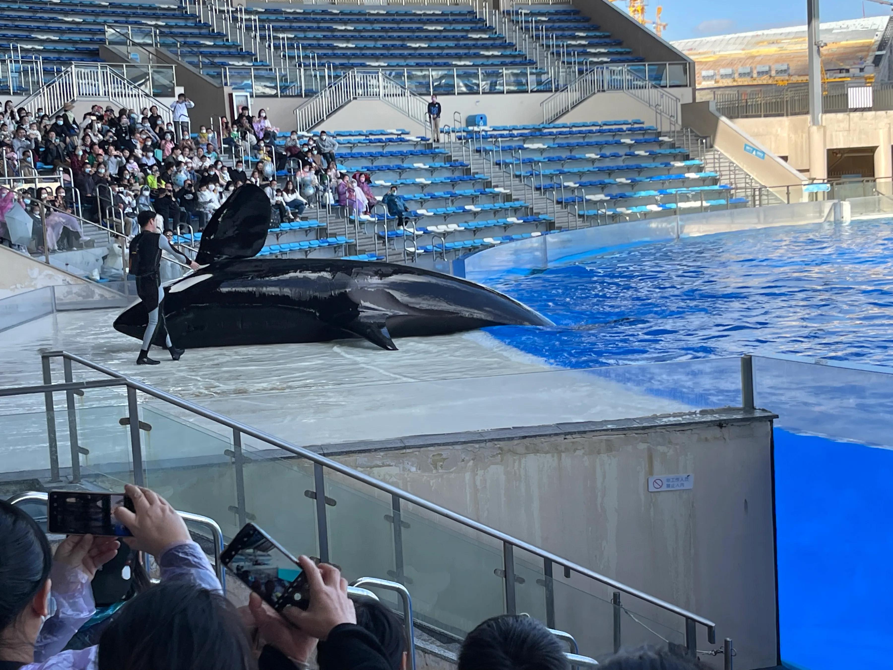 游上海海昌海洋公园攻略图,游上海海昌海洋公园作文方位顺序