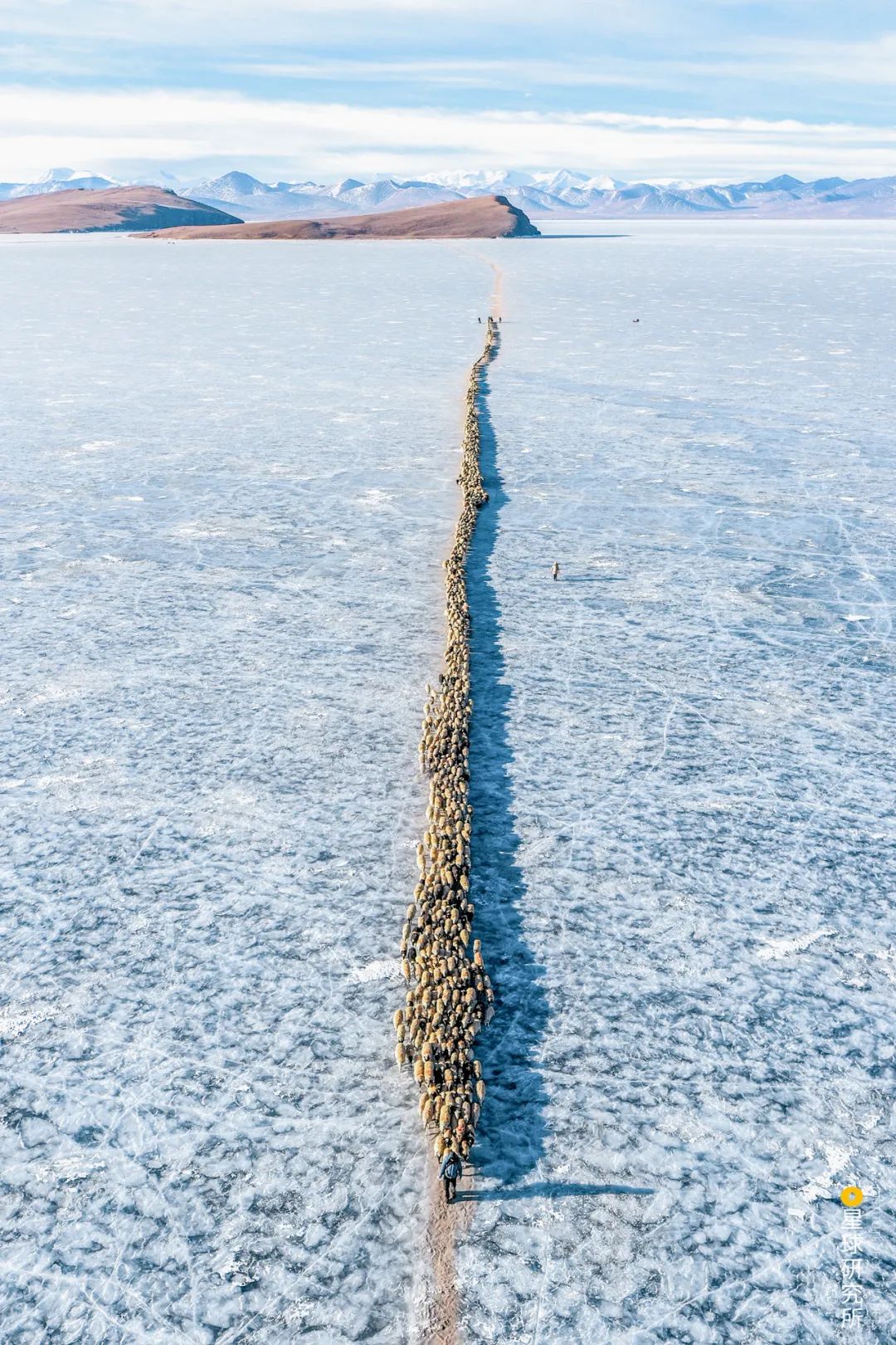 去青藏高原，看“千错万错”