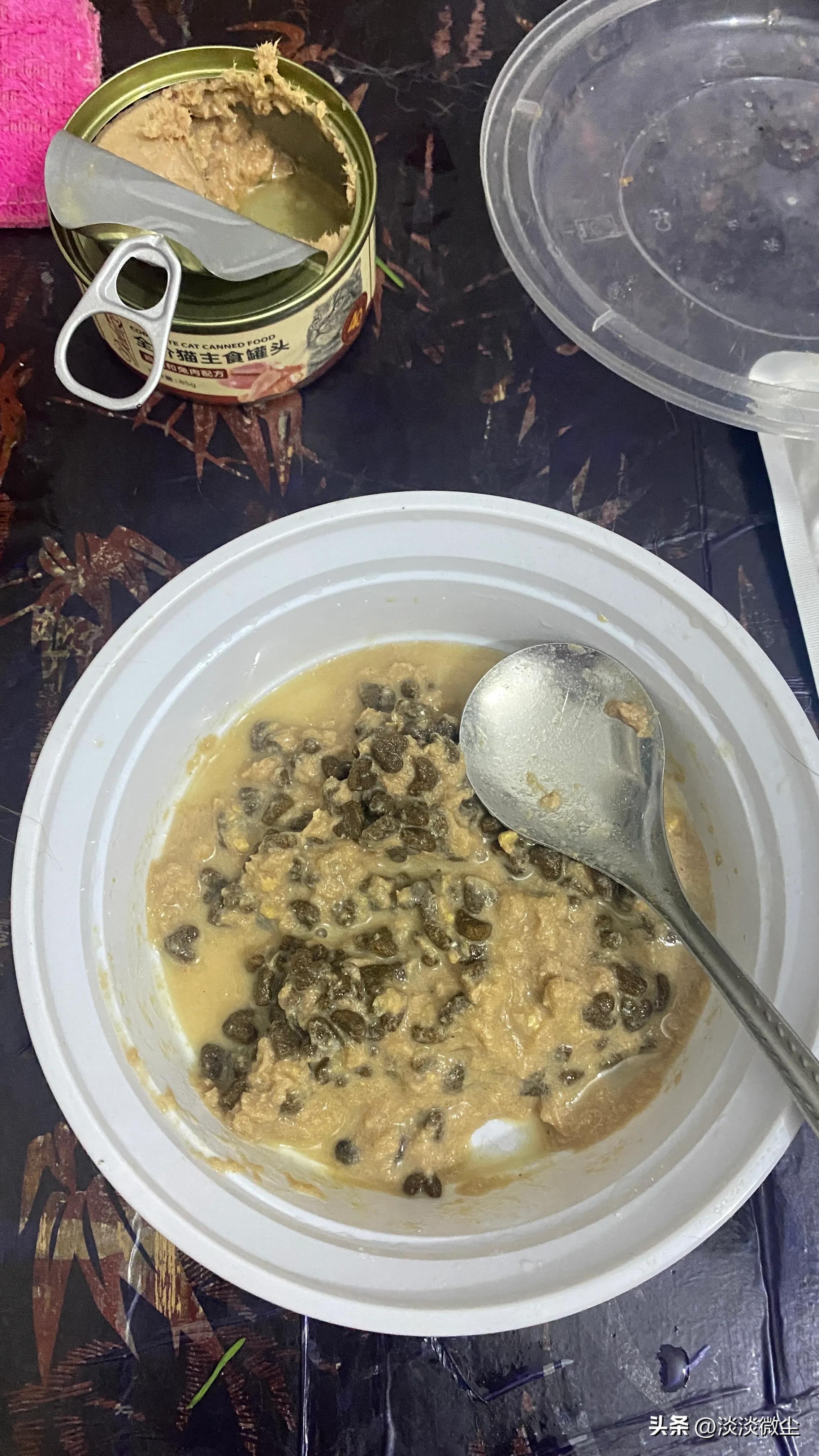 坚强的口炎猫，可我没办法拯救你！