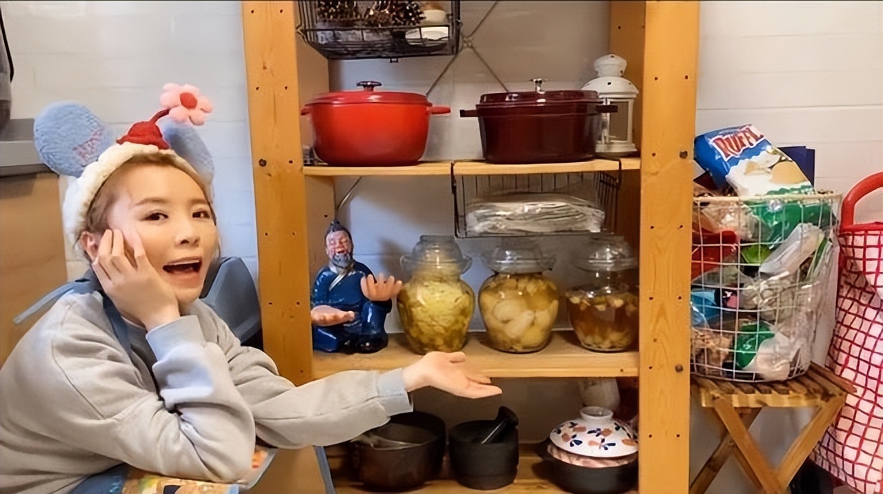 黄雅莉院子视频,黄雅莉在北京的房子