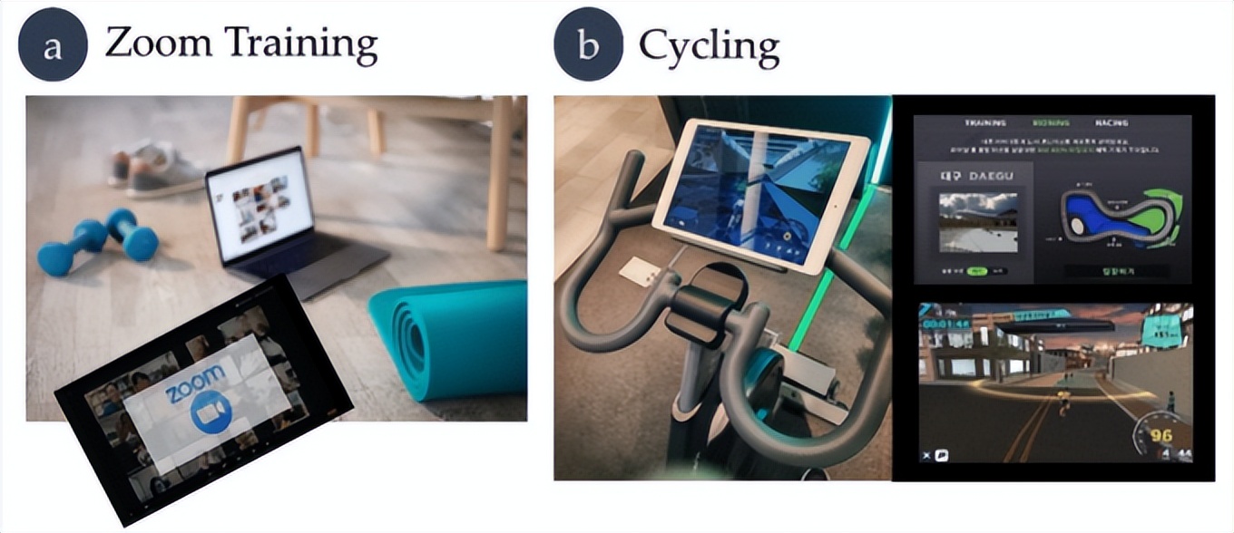 元宇宙与教育的融合,体育教育的种类