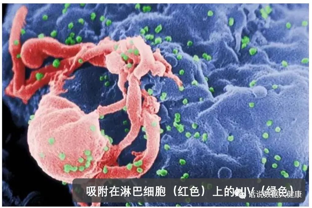 丙肝病毒感染可以治愈，艾滋病治愈还远吗？
