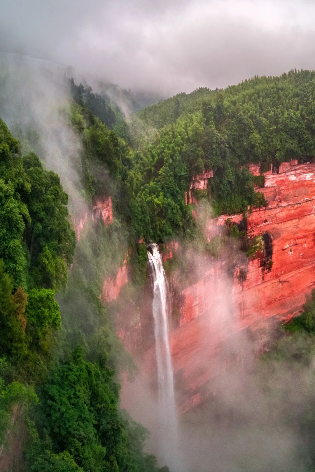 绿色狂想曲,绿色狂想曲三年级