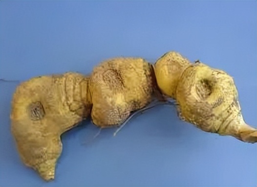 十大最有前景的中药材,十种不愁销路的中药材