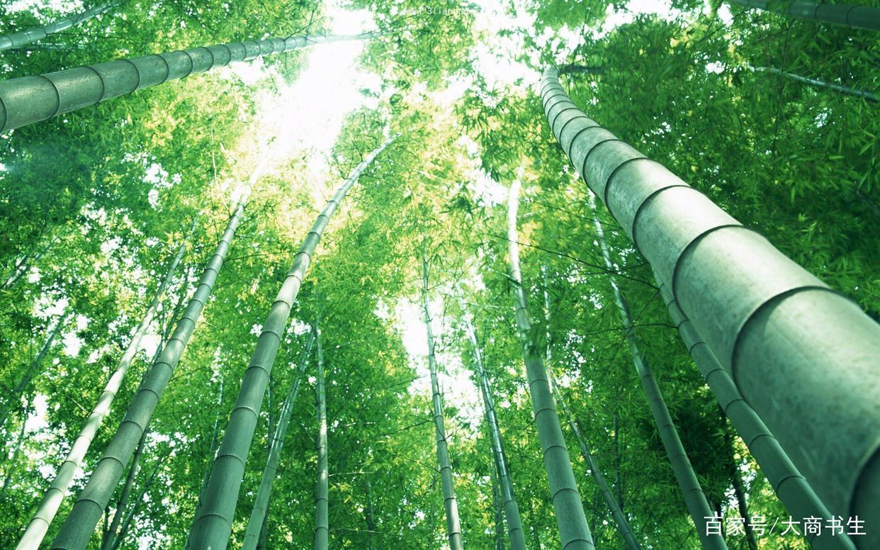 房产销售的技巧和方法,外贸销售管理团队的方法和技巧