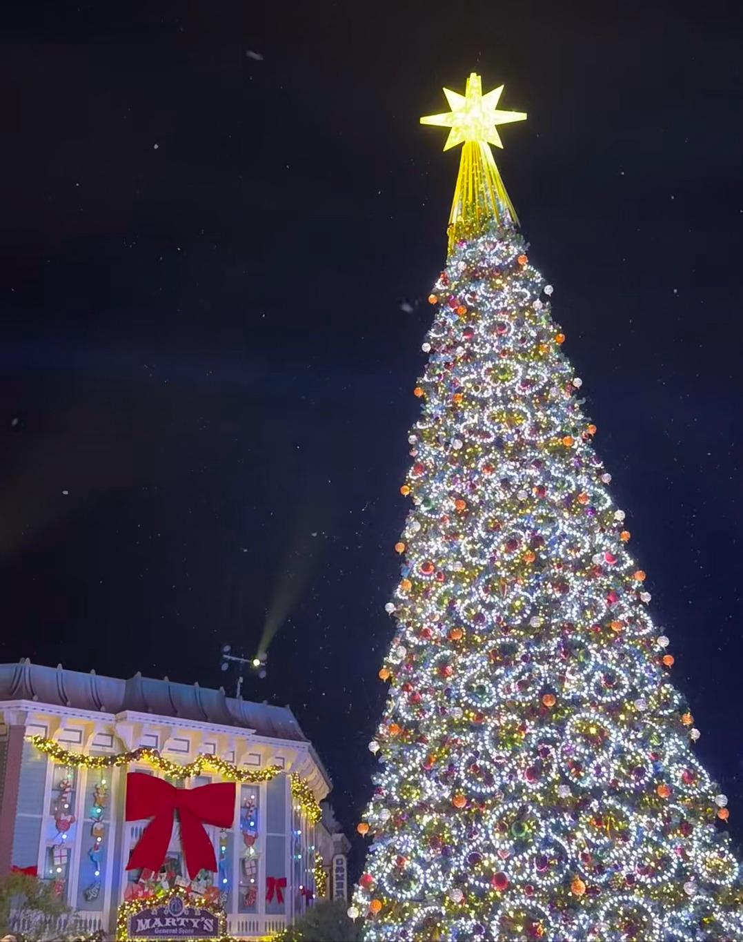 香港圣诞节打卡地超大圣诞树,香港圣诞氛围越来越浓了