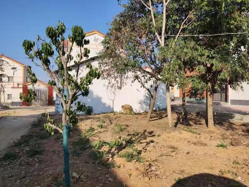 新洲美丽乡村建设名单,新洲区美丽乡村建设名单