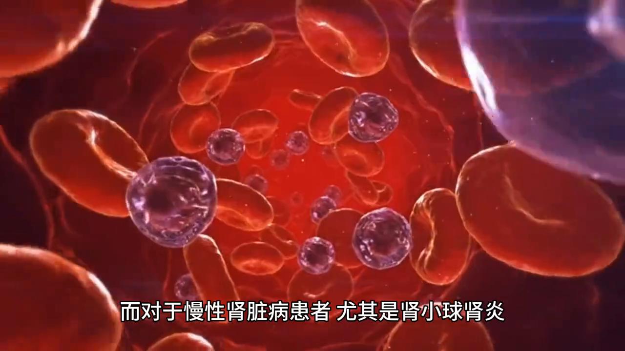 肾脏病以后注意什么,肾脏病最怕吃什么药