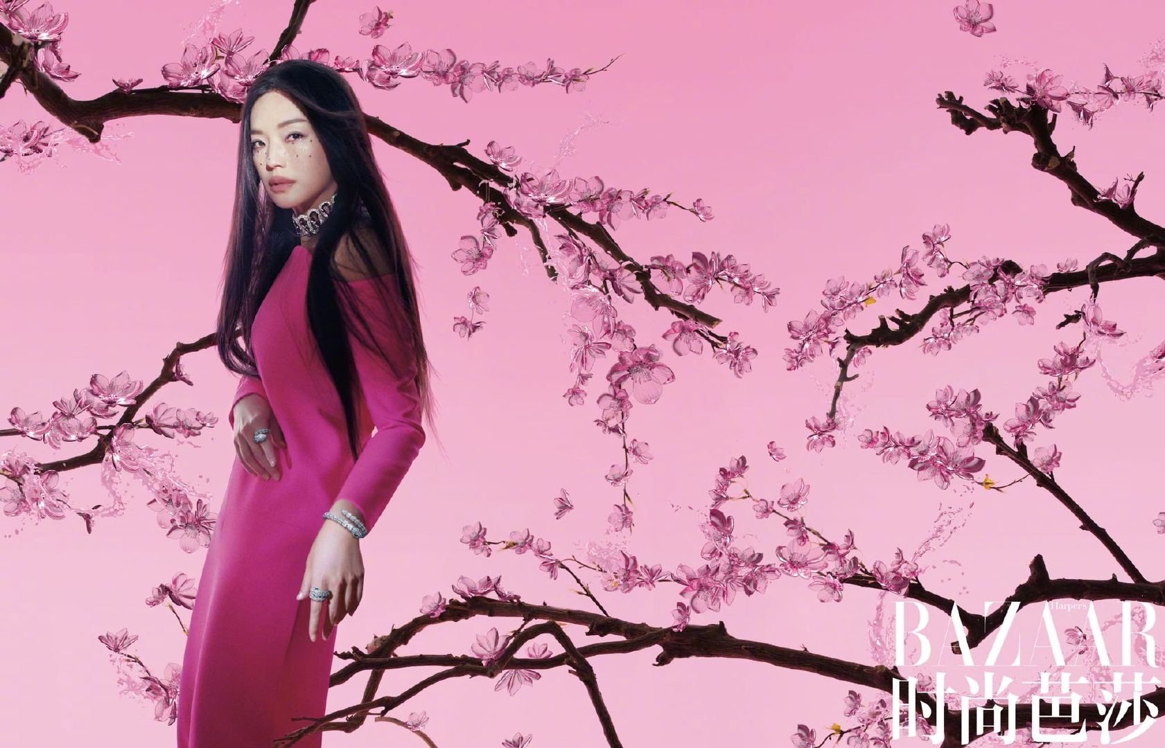 时尚芭莎超模大片,时尚芭莎2010封面