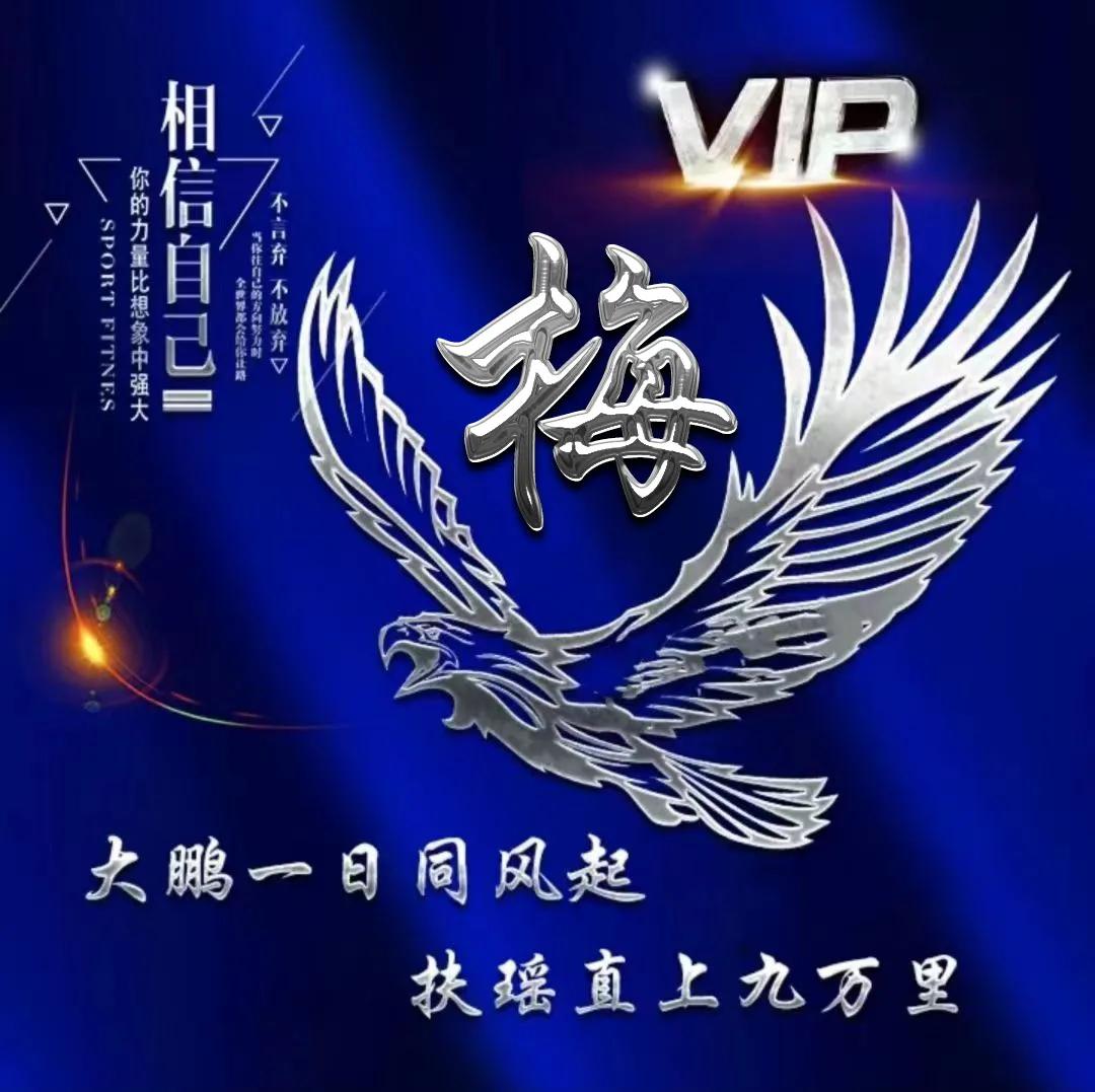 励志主题姓氏微信头像：大鹏一日同风起，扶摇直上九万里