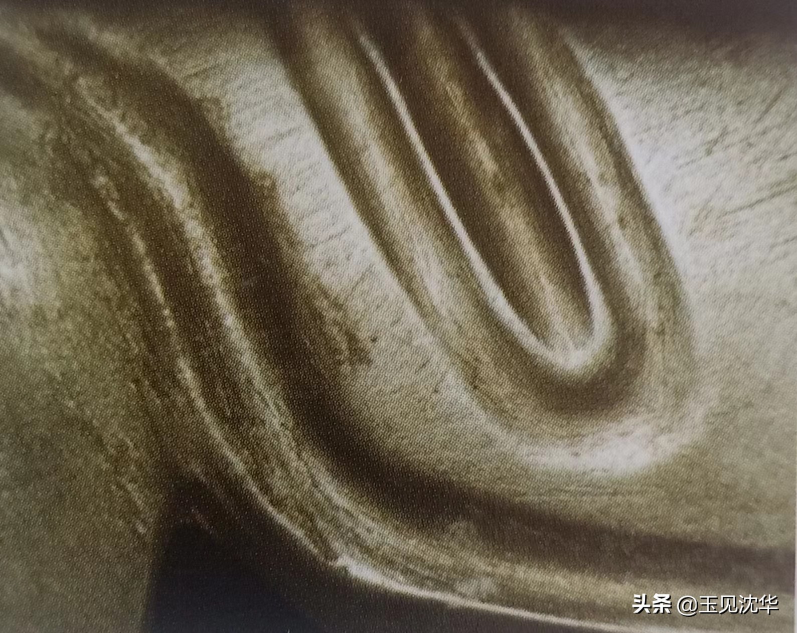 中国玉文化之红山玉器,红山文化玉器的各类造型