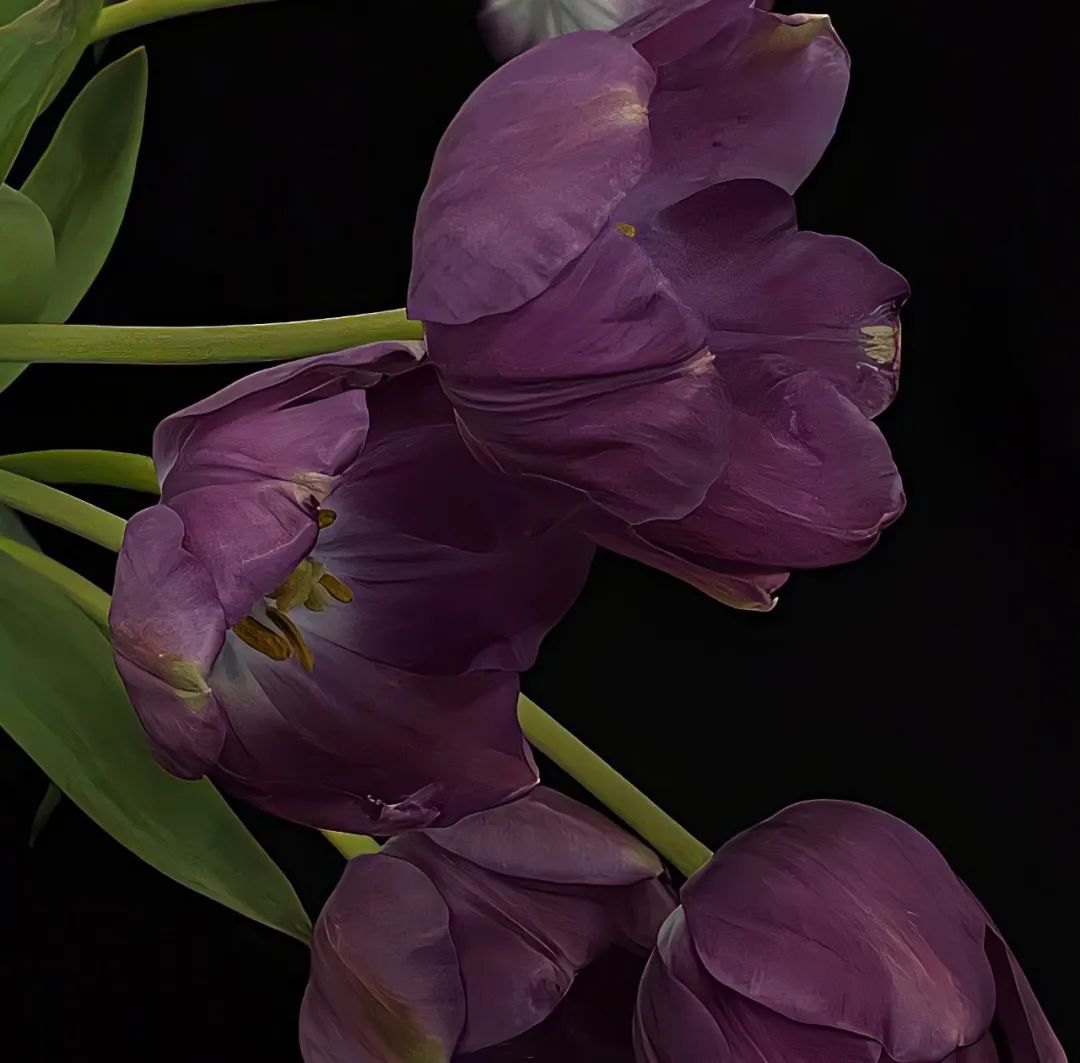 朋友圈背景图片文字,朋友圈背景图女生