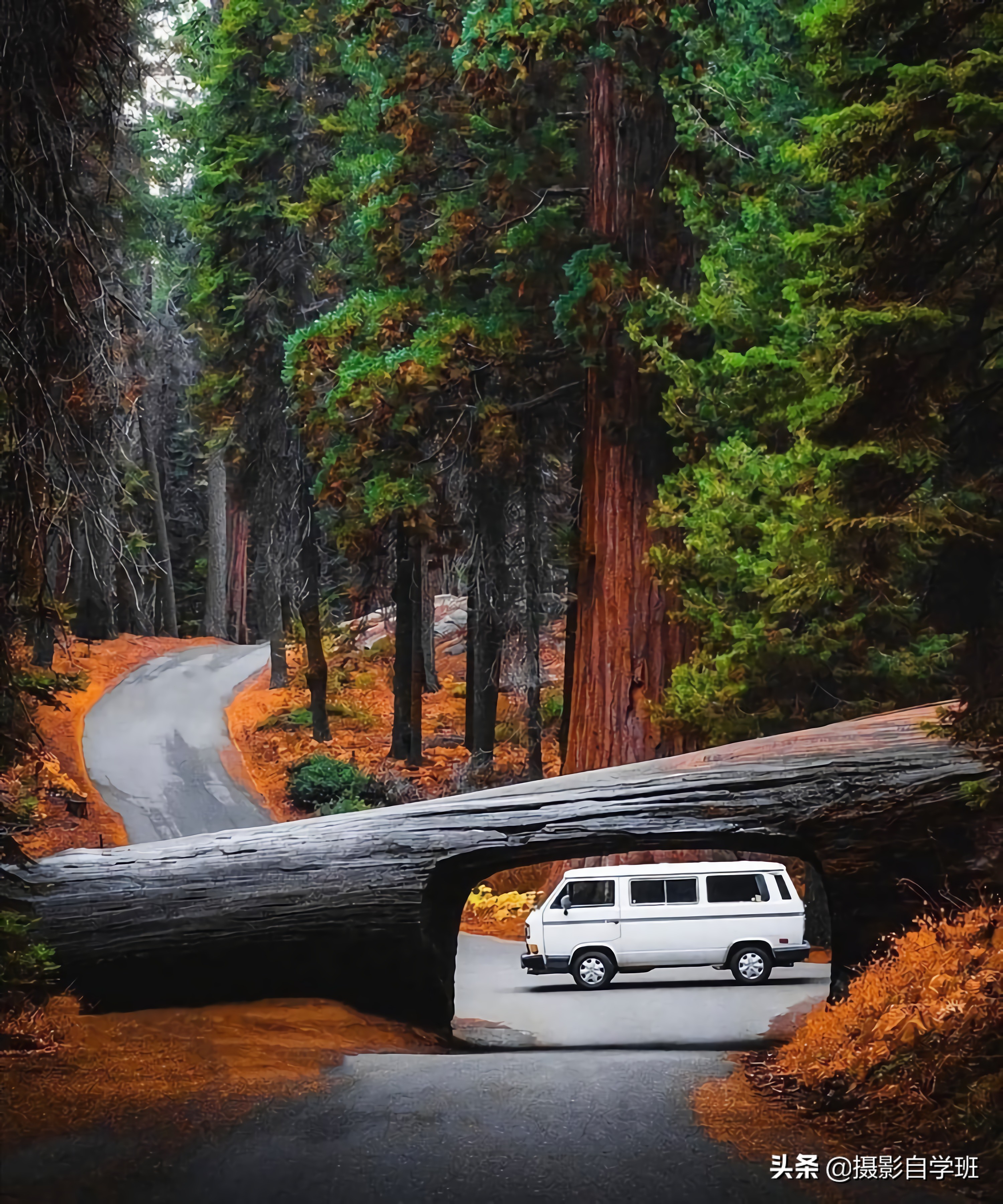 拍美景技巧室内,新手拍人像风景选什么相机