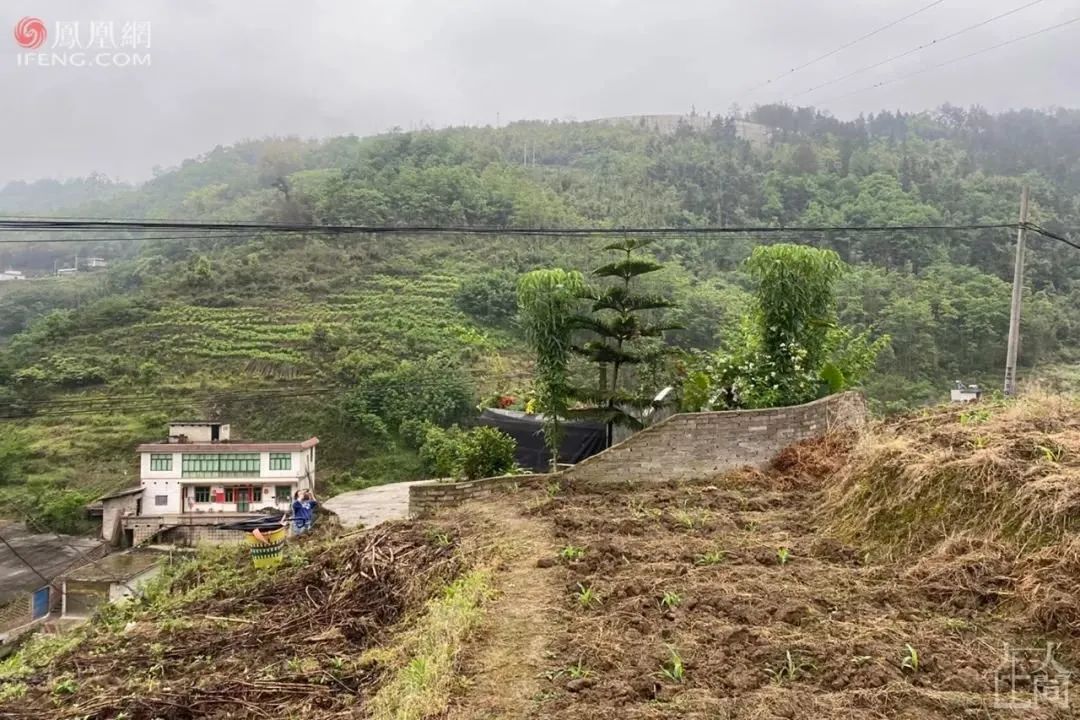 19岁男孩柬埔寨含冤而死,二十五岁中国男孩柬埔寨被杀