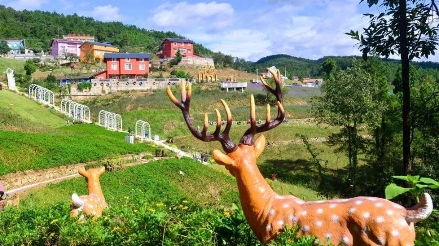 广元旅游景点免票,2020年广元哪些景区免门票