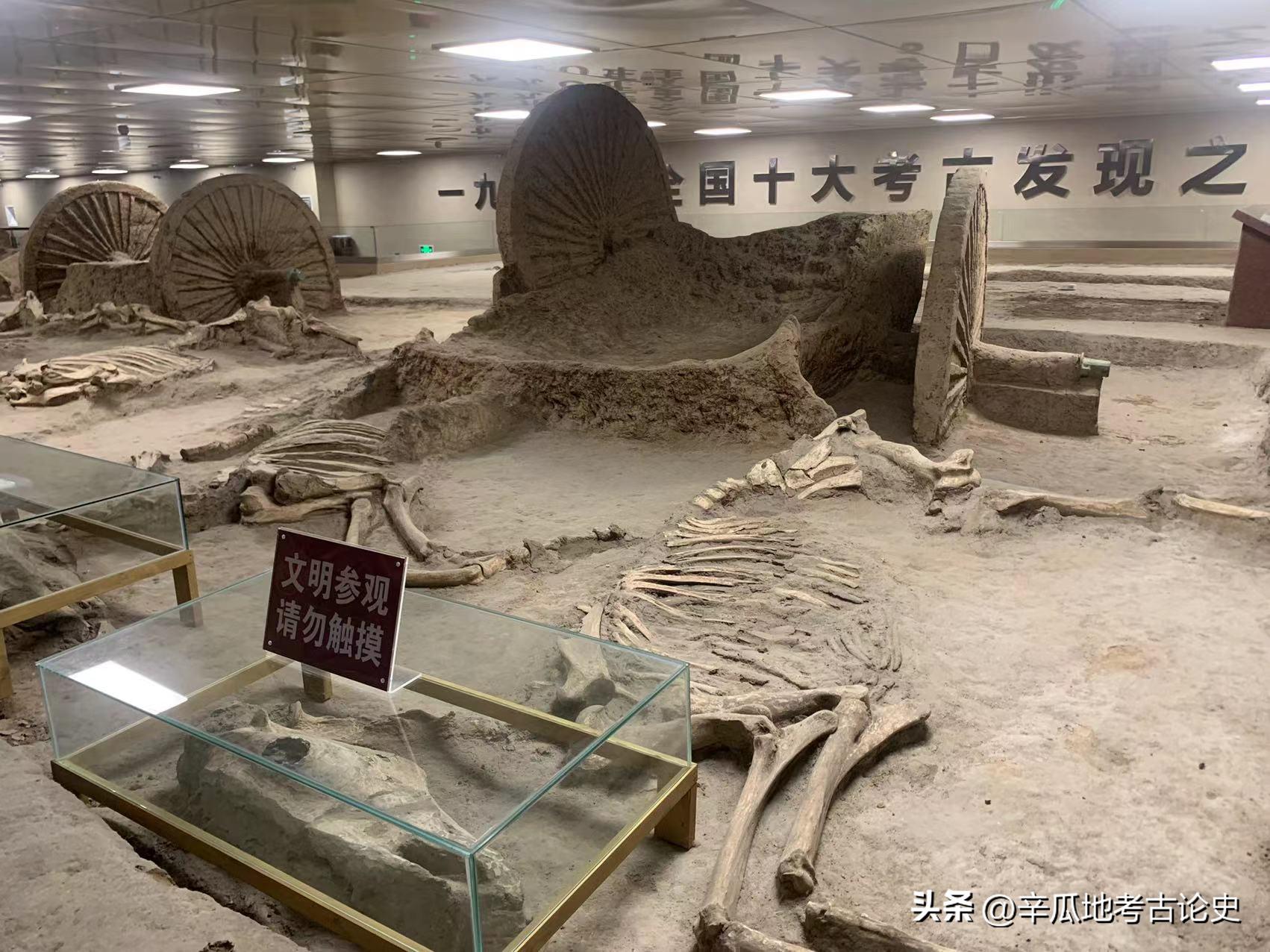 河南车马博物馆,中国古车马馆