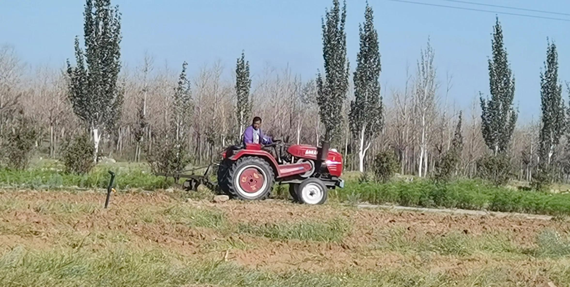 朱元璋讨饭经历,讨饭是个技术活