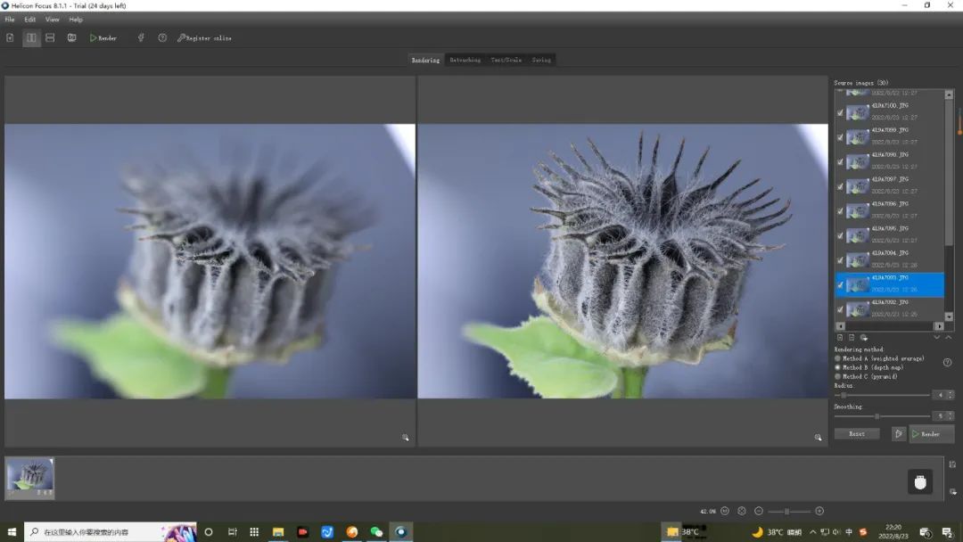 如何拍摄出惊艳的微距作品,精品微距摄影欣赏