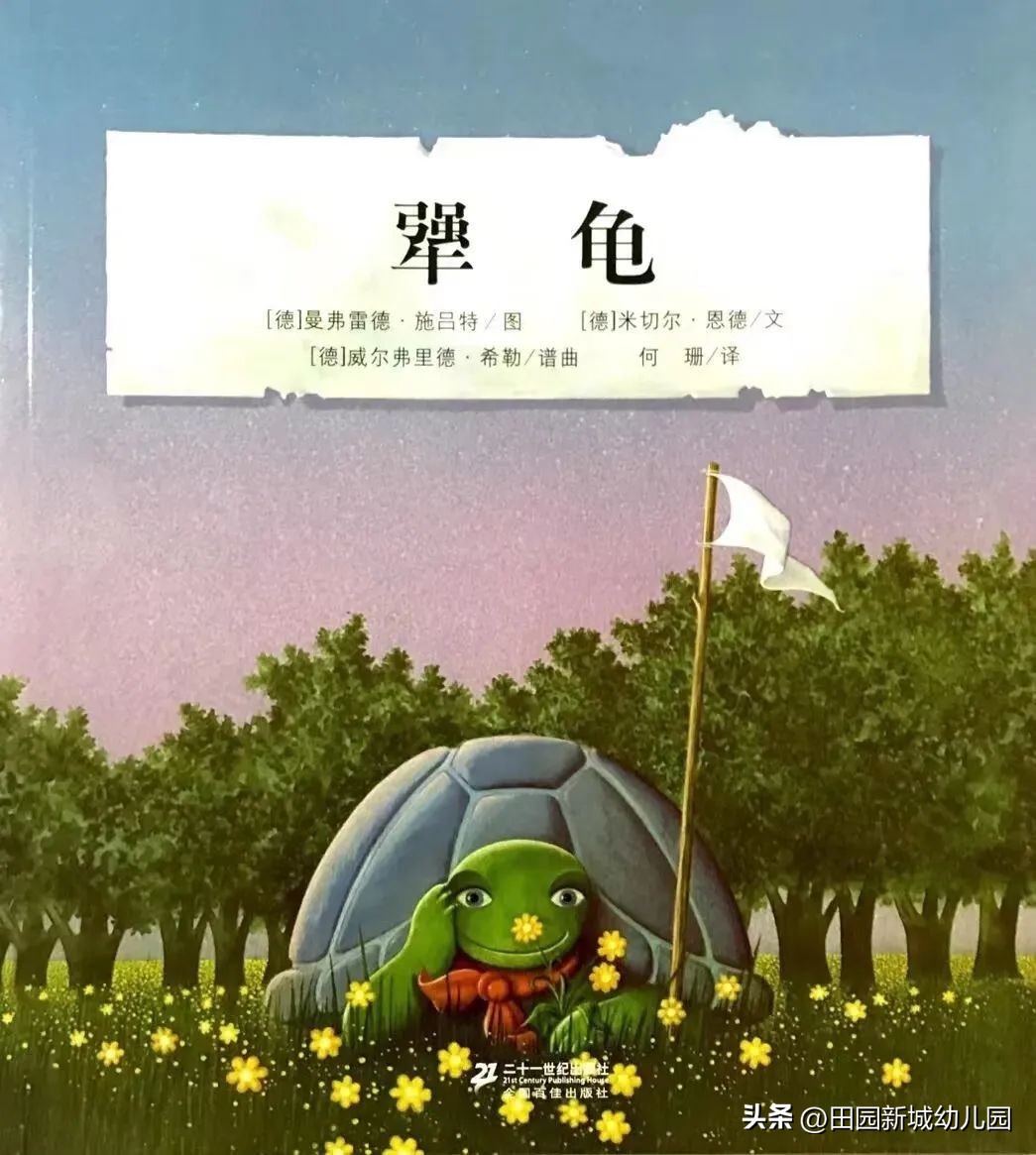 课程故事乌龟大班,嗨小鸭课程故事