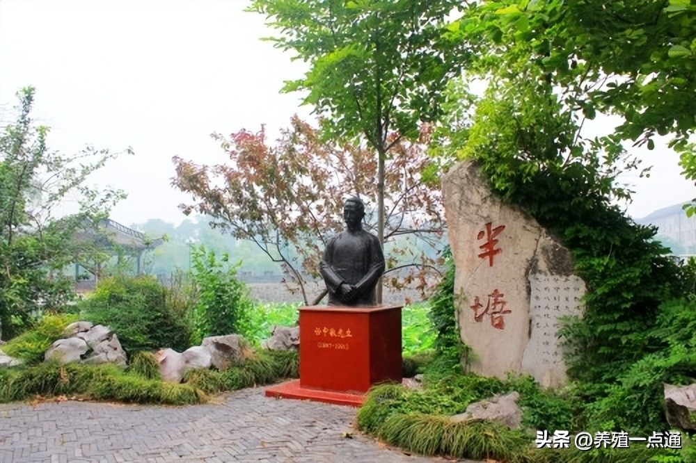 毛永江扬州大学副教授,毛永江