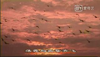 这几部口碑爆棚的宝藏纪录片,国庆孩子必看的8部神级纪录片