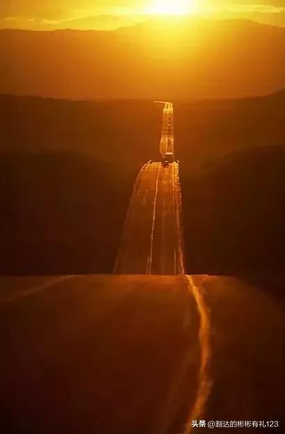 难得一见绝美一清二楚郁金香壁纸,难得一见雪景壁纸