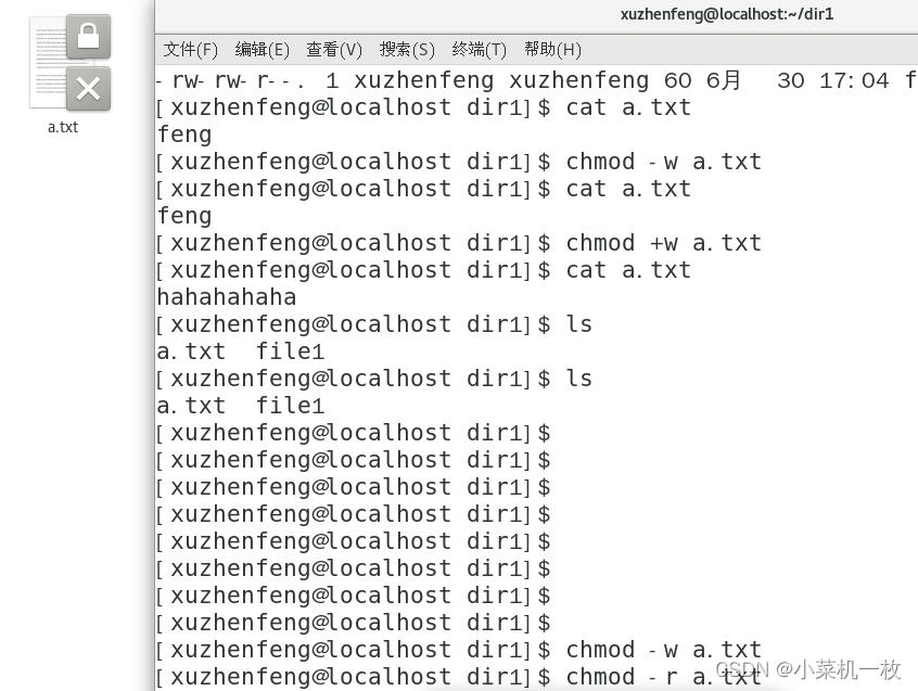 常见的linux文件操作命令,linux常用操作命令面试题