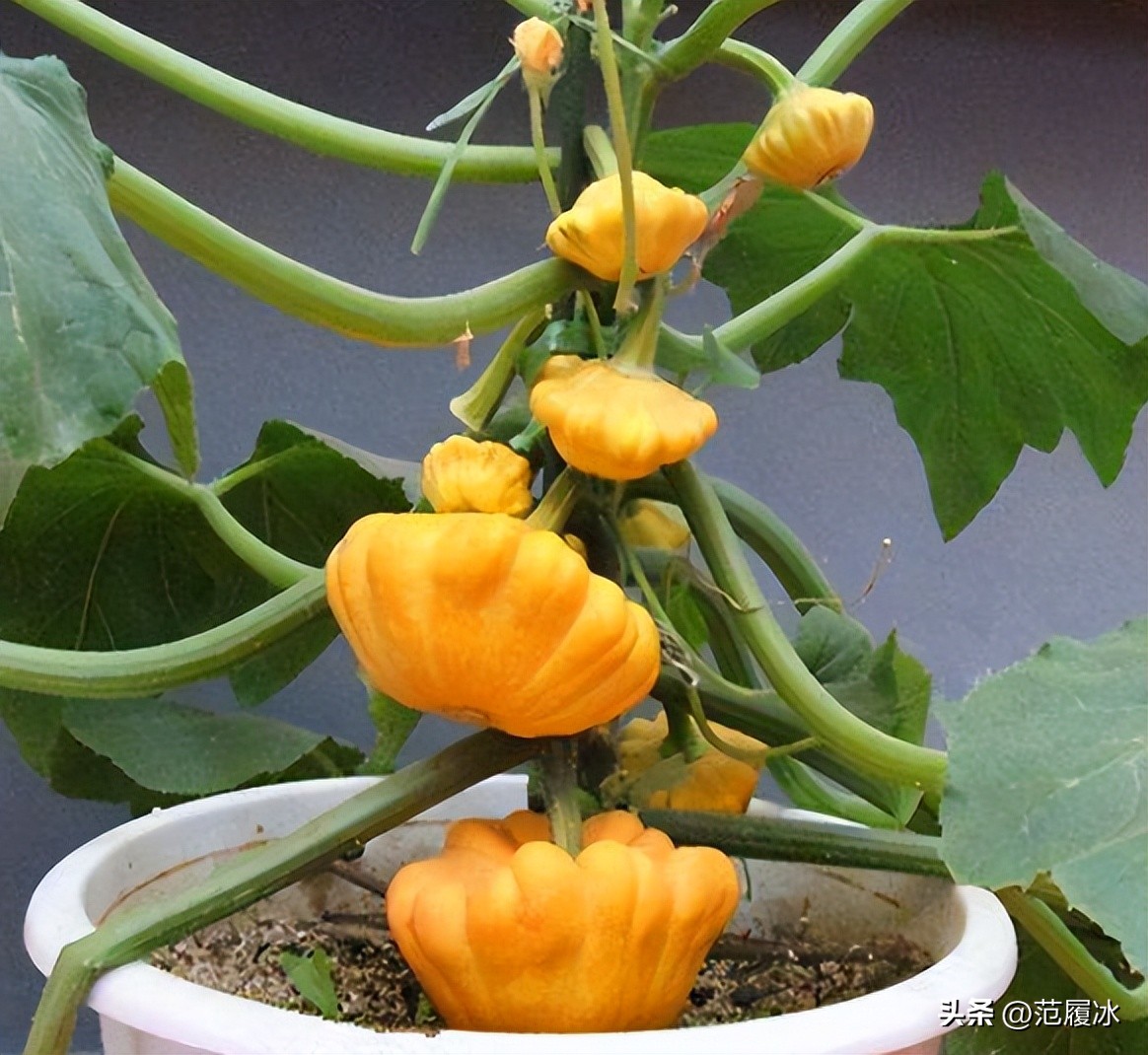 五一青岛旅游避坑指南，请分享给你的亲朋好友