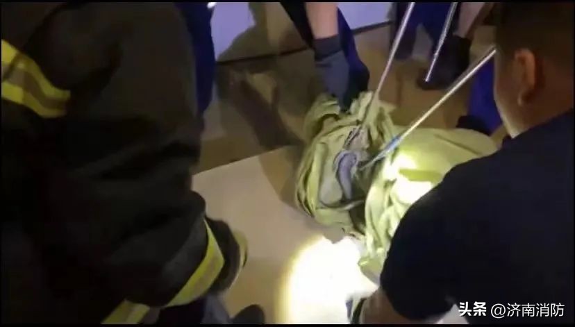 小区遇到“蜂”“蛇”别慌：绕开走，打119