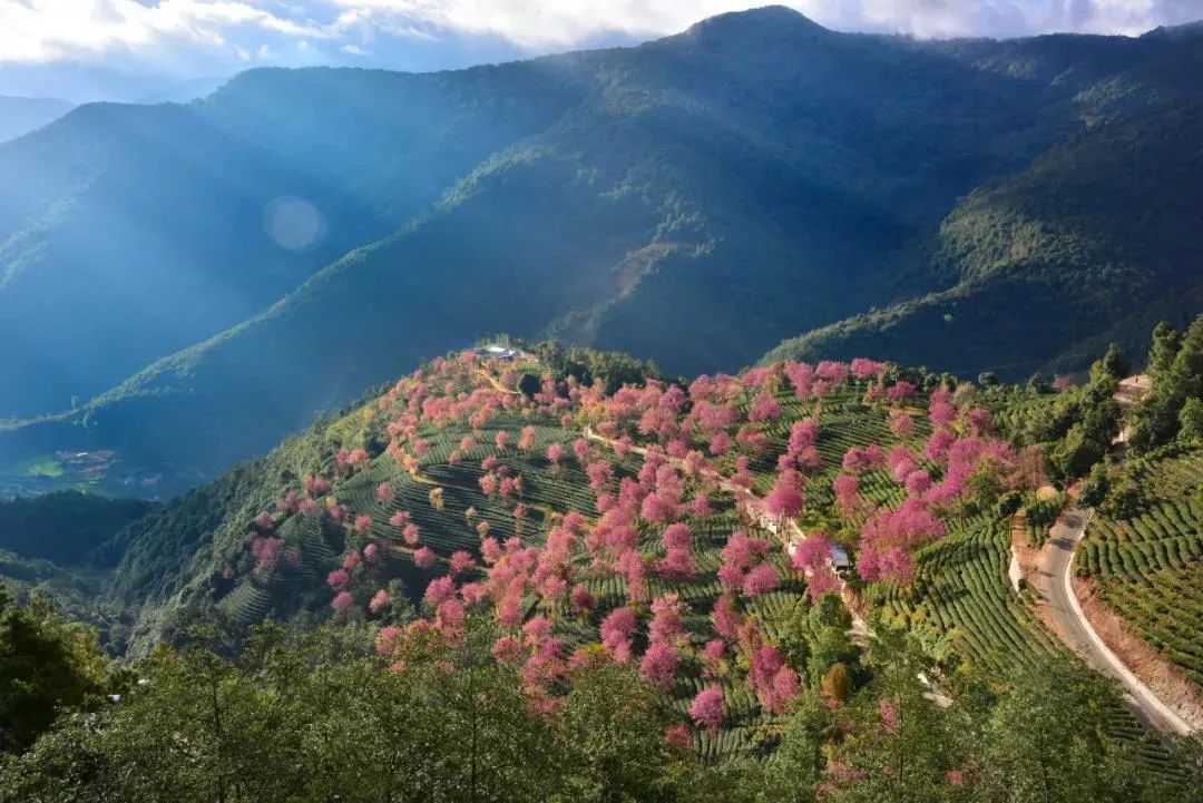 昆明七彩云南怎么样,七彩云南避暑家园