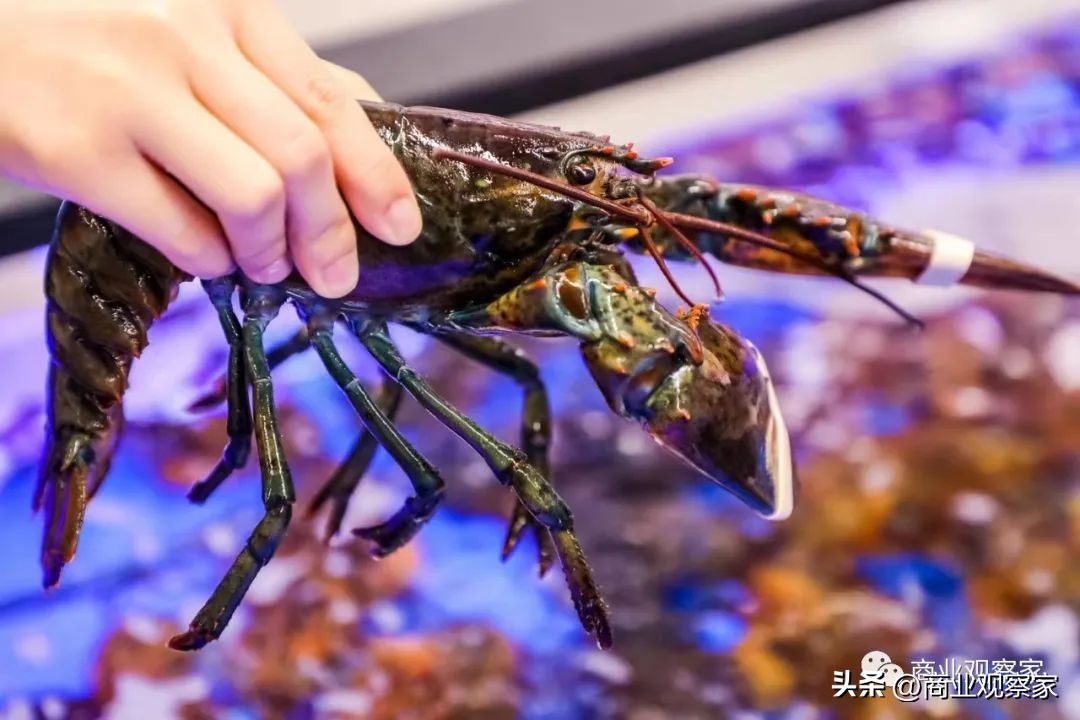 一年跑进会员店第一梯队，麦德龙「差异化」进击