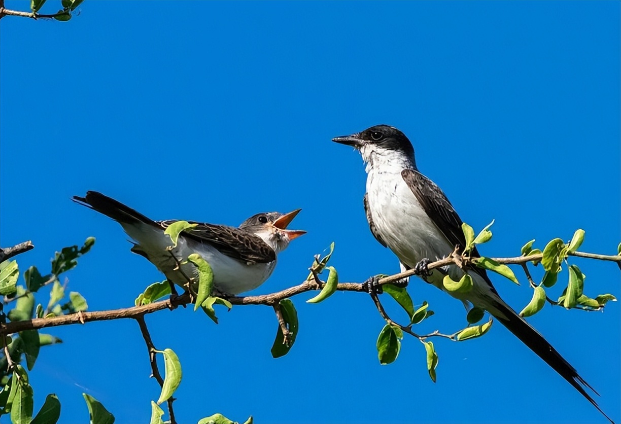 意境深远的绝美古诗词,古诗史上最唯美最断肠的七首诗词