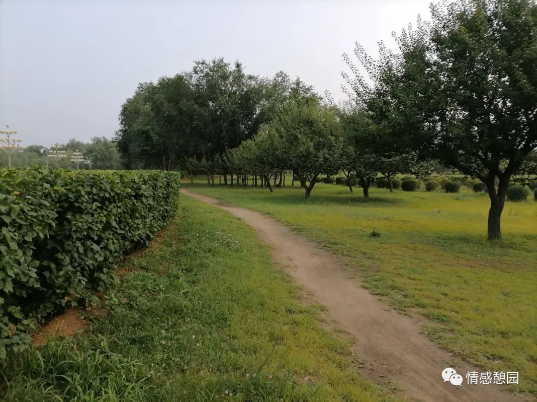 一段路一段情的唯美句子,一段路一段缘