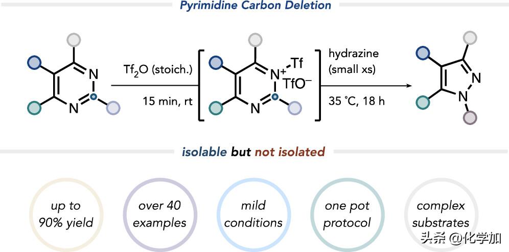 JACS：分子骨架编辑——剔除碳原子，嘧啶变吡唑