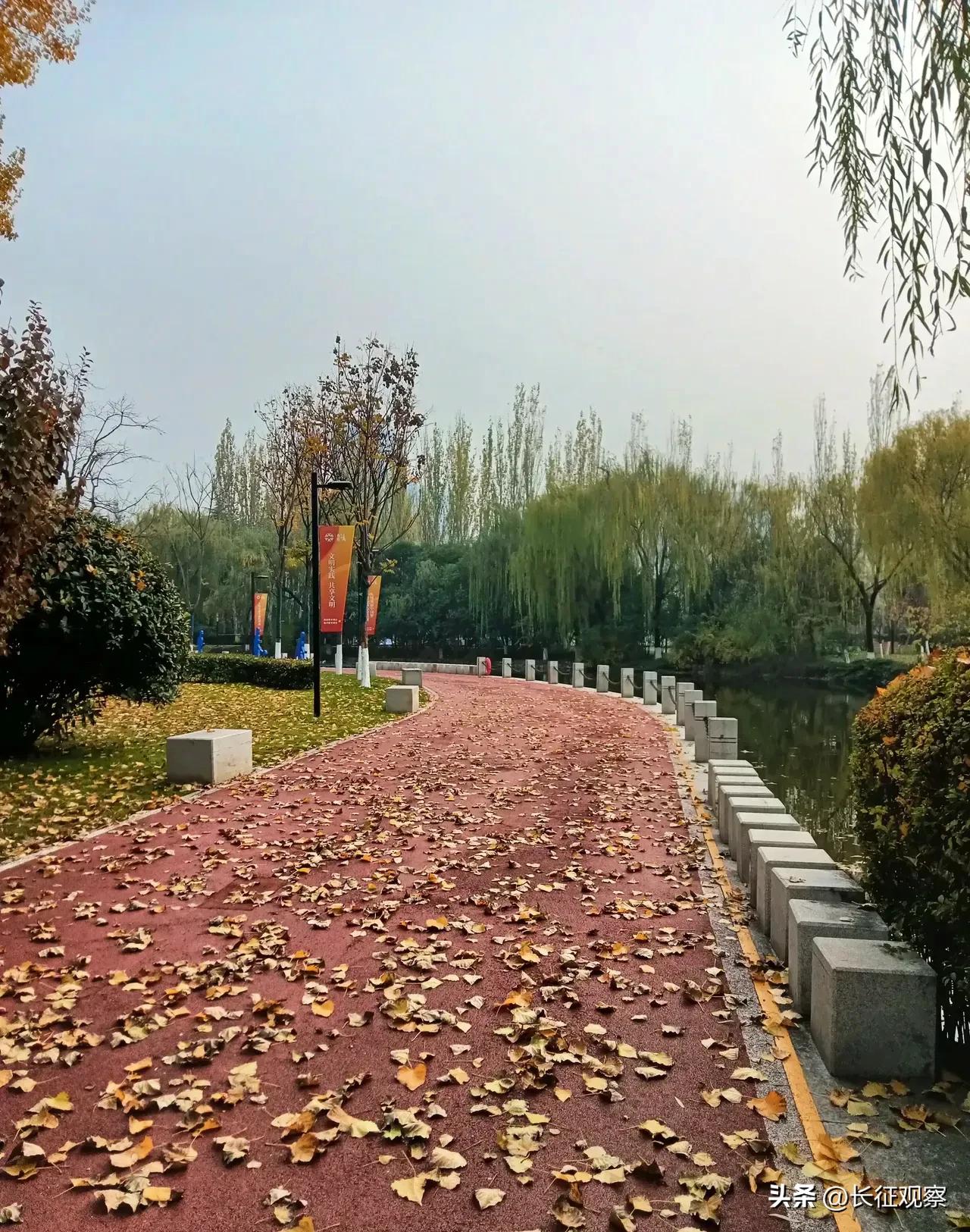 西安“四区联动”效果初现，刘国中强调继续加大措施力度