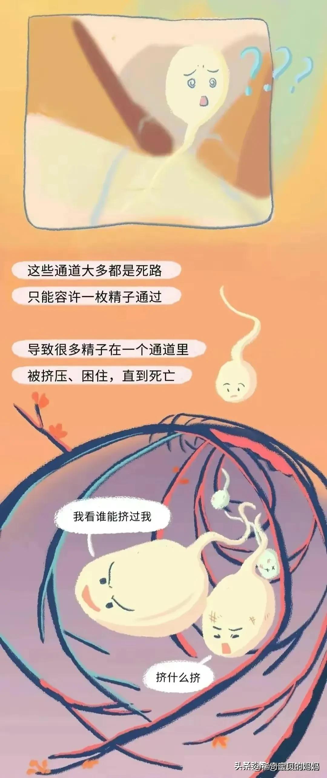 小蝌蚪漫画,科普知识小蝌蚪怎么成长为青蛙