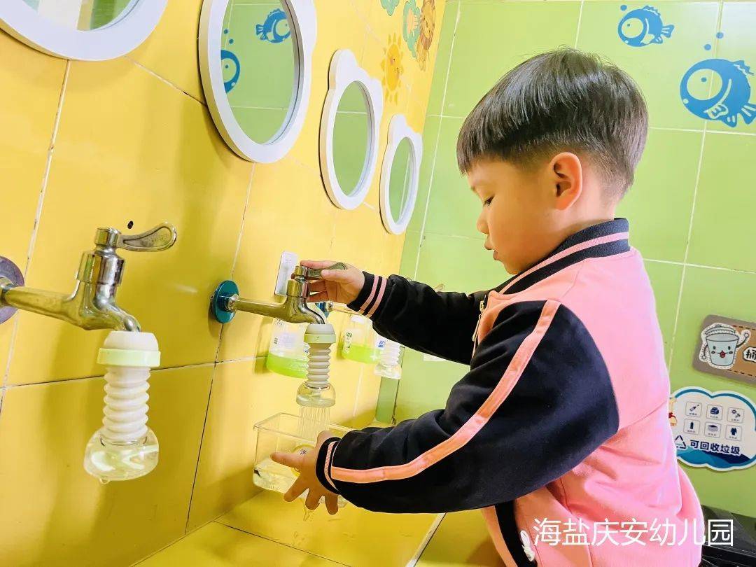 邂逅蝌蚪，感受生命的演变—诺亚舟海盐庆安幼儿园小一班