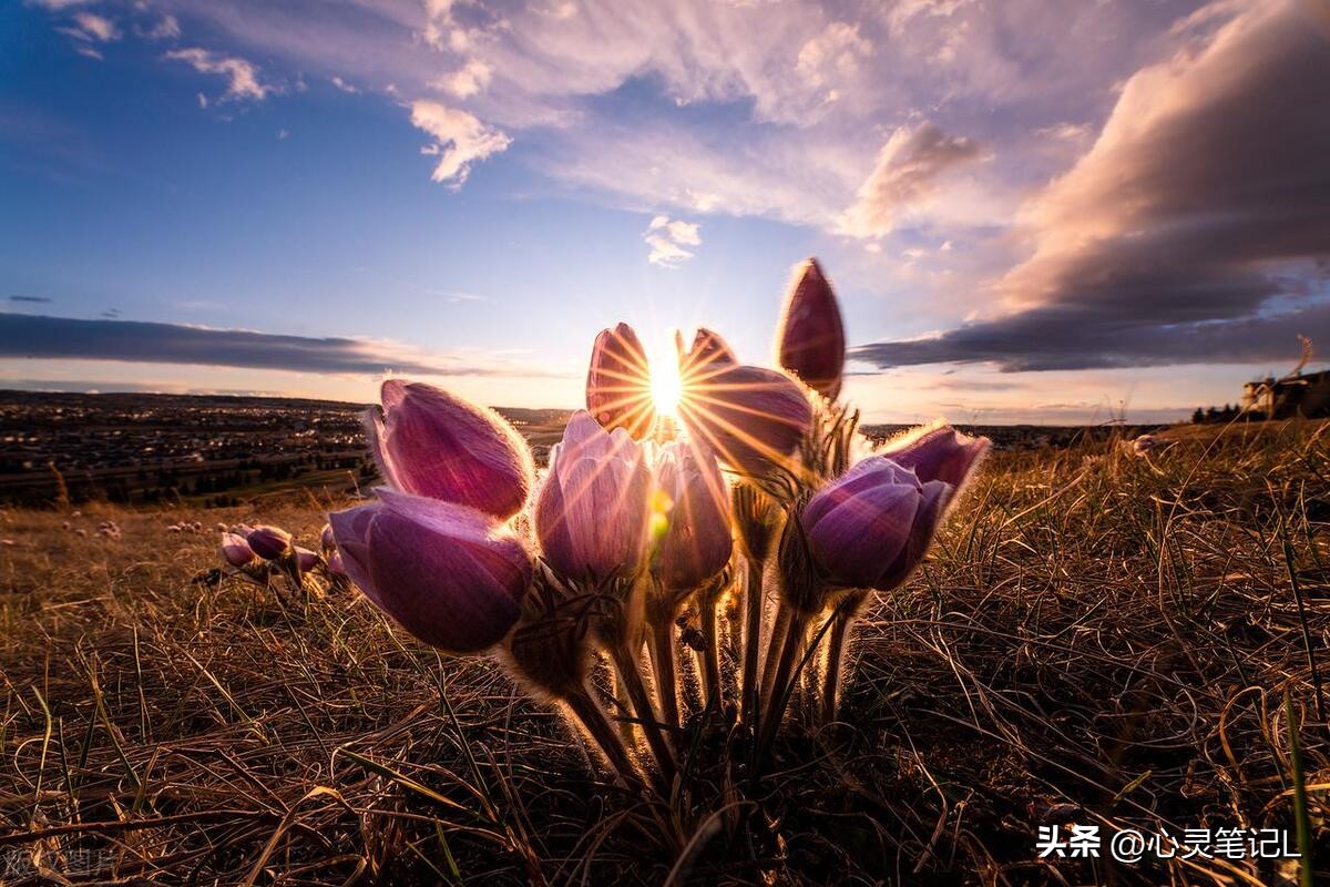 生活励志金句100句,生活励志短句名言