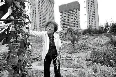 一家四口在华山跳崖是真是假,一家四口跳华山是什么时候的事情