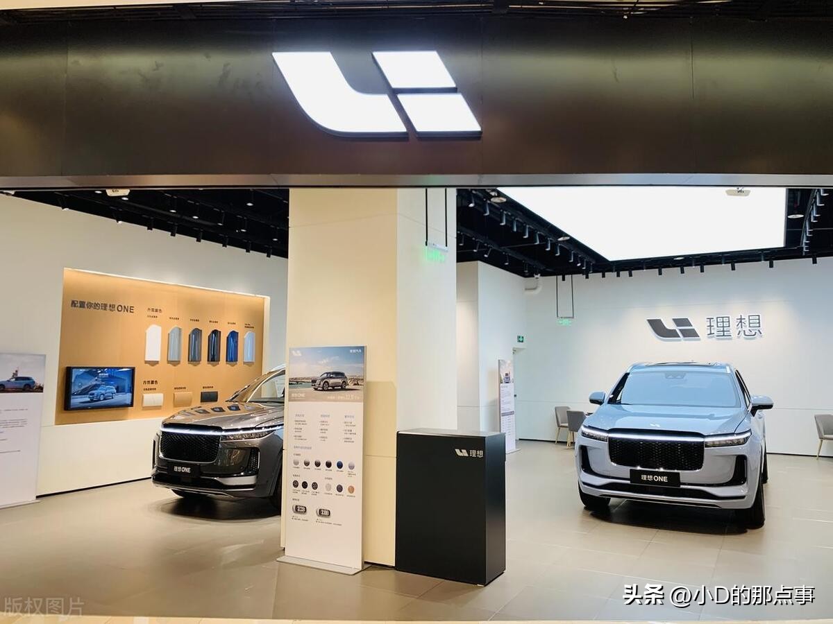 理想汽车在中国电动汽车排名,理想汽车在中国新能源市场占比